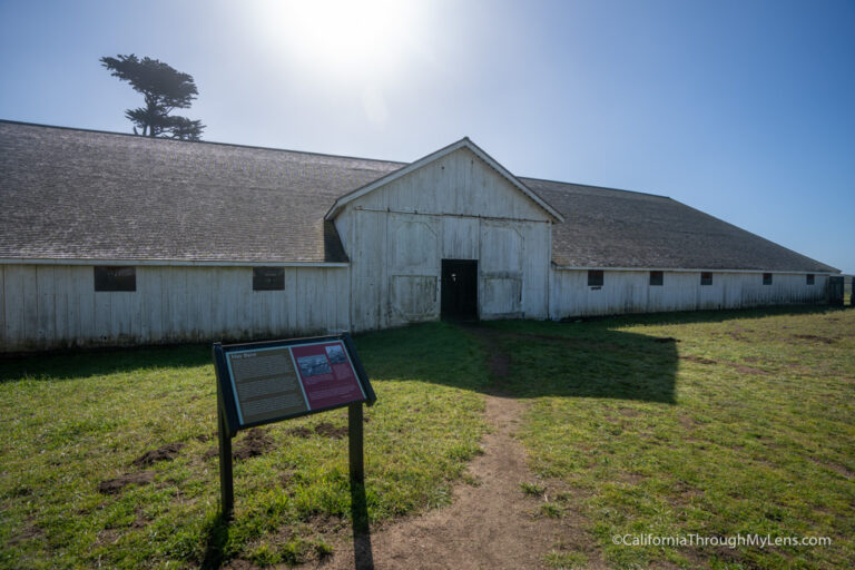 11 Things to do at Point Reyes National Seashore - California Through ...